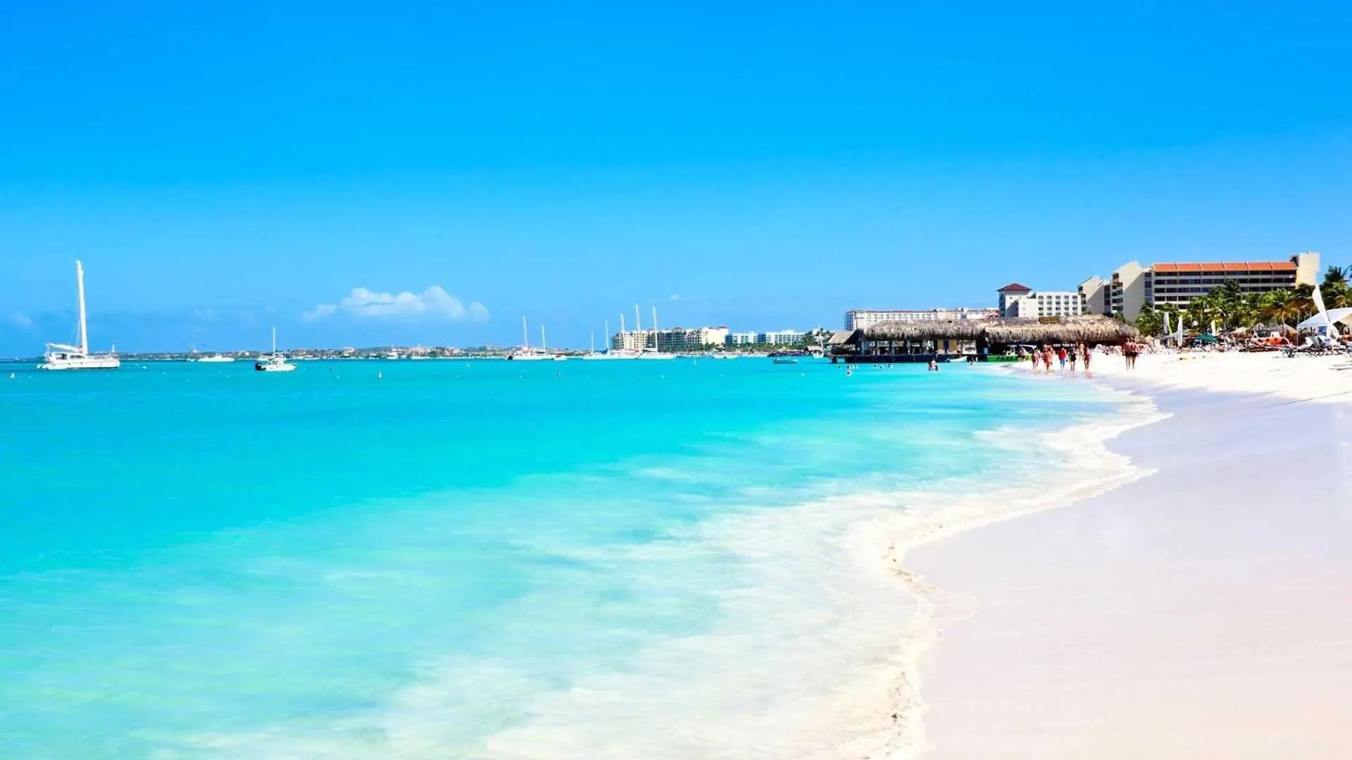 Apartment Wlr5 - Studio Near Palm Beach - White Lotus Retreat Aruba