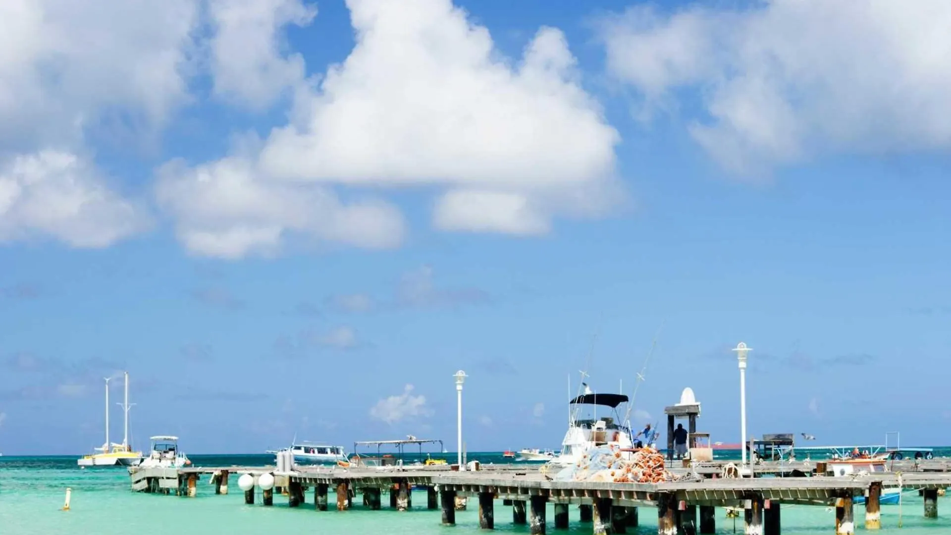 Wlr5 - Studio Near Palm Beach - White Lotus Retreat أروبا