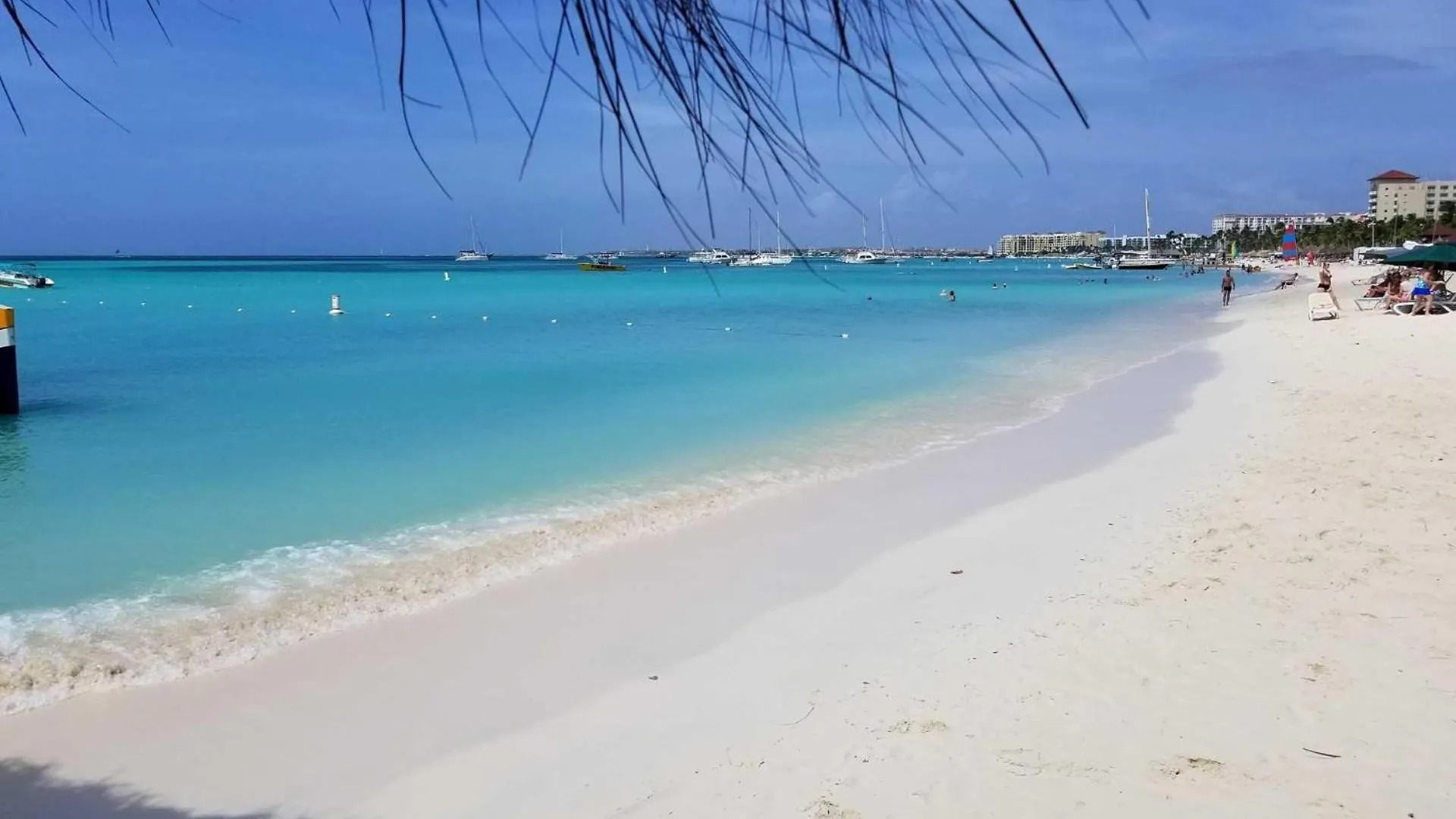 Wlr5 - Studio Near Palm Beach - White Lotus Retreat شقة